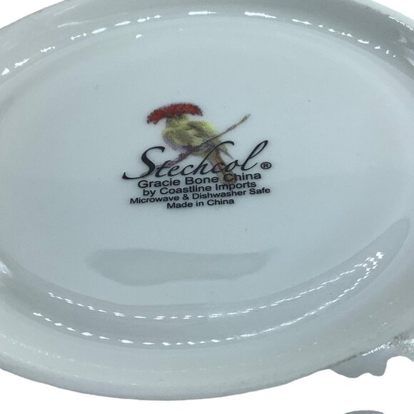 Stechcol Gracie Royal Flycatcher Bird Flower Amazonian Bone China Cup and Saucer - Picture 6 of 10